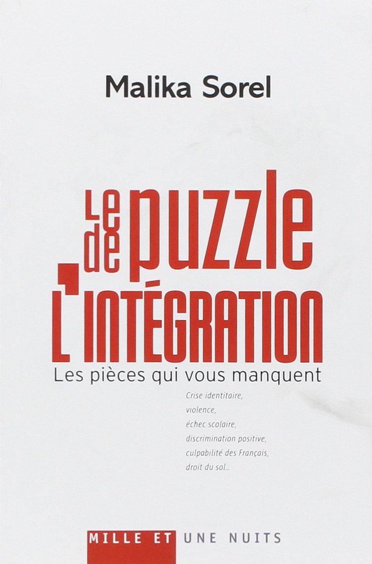 Le Puzzle de l’intégration: Les pièces qui vous manquent 